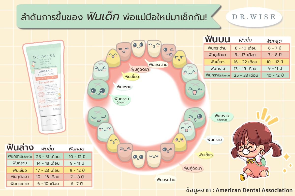 ลำดับการขึ้นของฟันเด็ก เช็กพัฒนาการเจ้าตัวน้อย