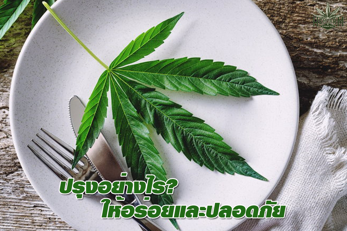 วิธีปรุง "กัญชา" ให้เป็นเมนูอาหารอย่างถูกต้องและปลอดภัย