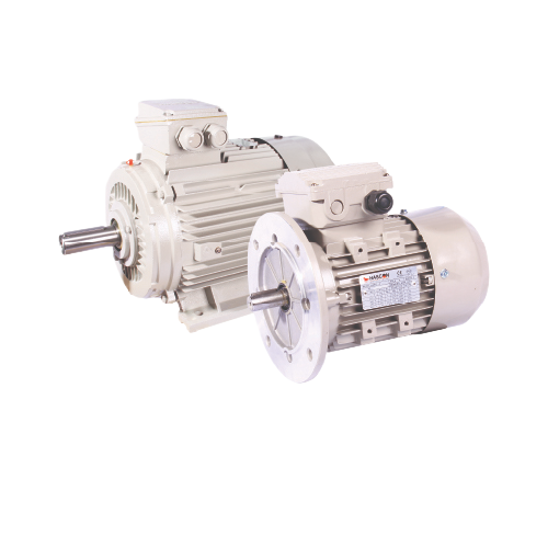 MOTOR HASCON : 60HP 4 POLE IMB3