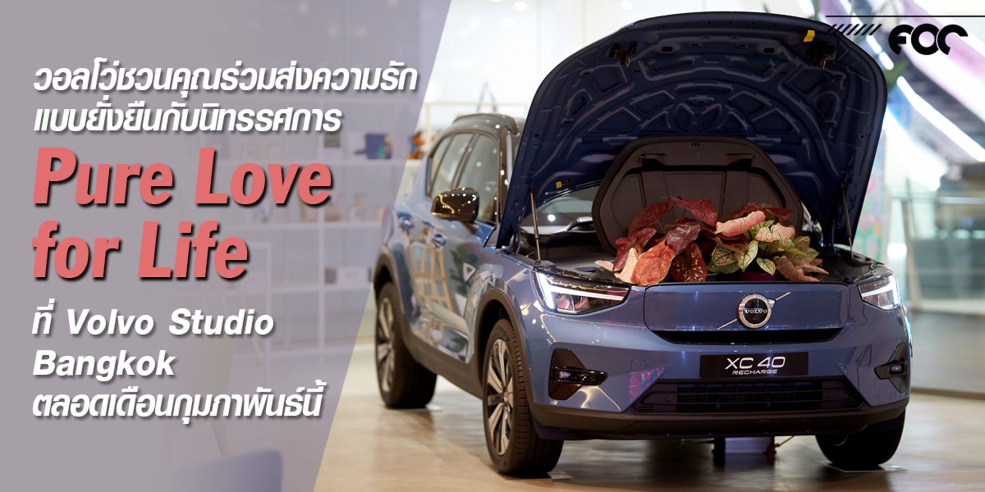 วอลโว่ชวนคุณร่วมส่งความรักแบบยั่งยืนกับนิทรรศการ Pure Love for Life ที่ Volvo Studio Bangkok ตลอดเดือนกุมภาพันธ์นี้ 
