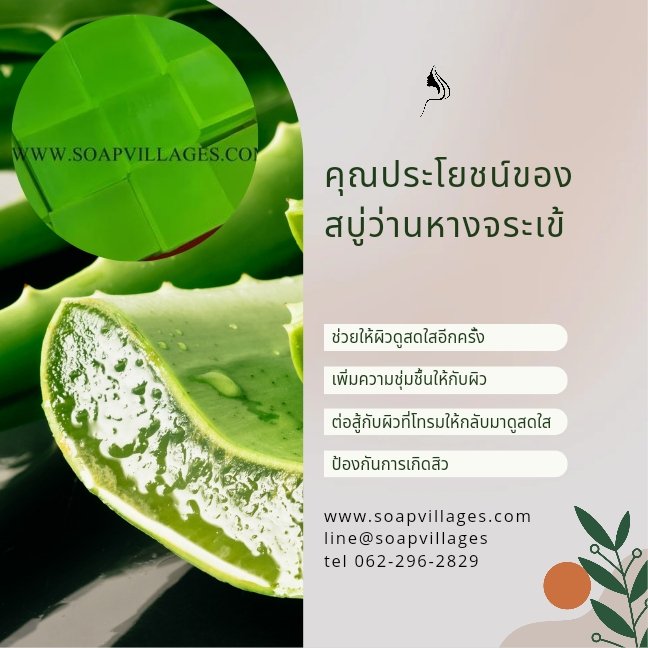 สบู่ว่านหางจระเข้ สบู่ว่านหางจระเข้