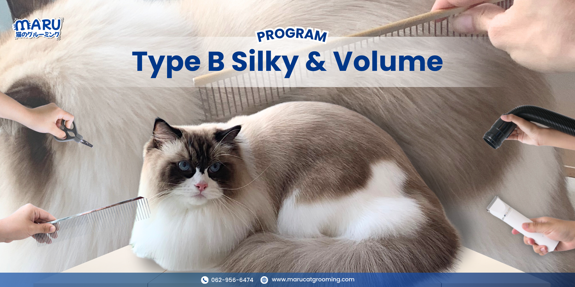 Maru Cat Grooming รีวิวอาบน้ำแมว