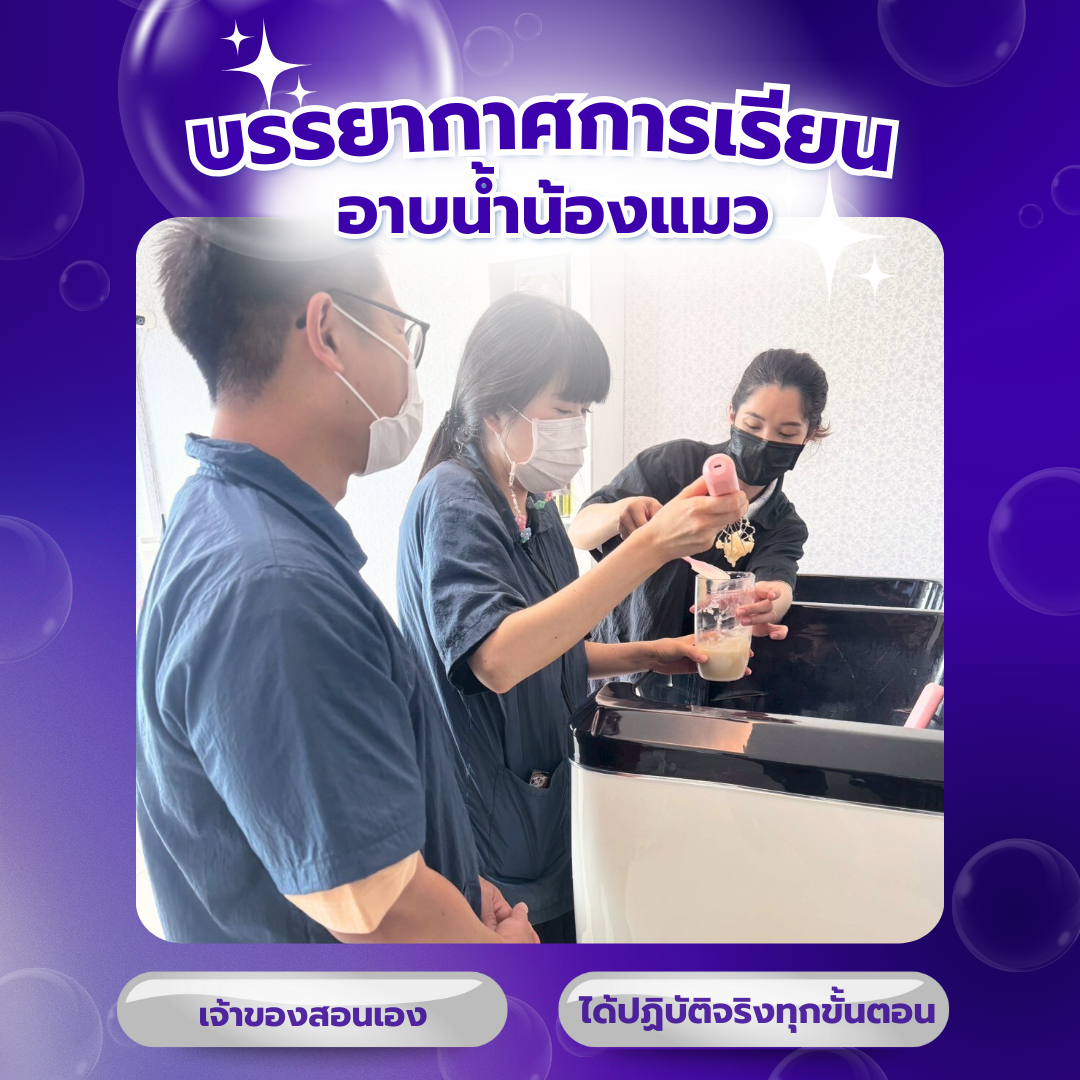 บรรยากาศคลาสเรียนอาบน้ำแมว