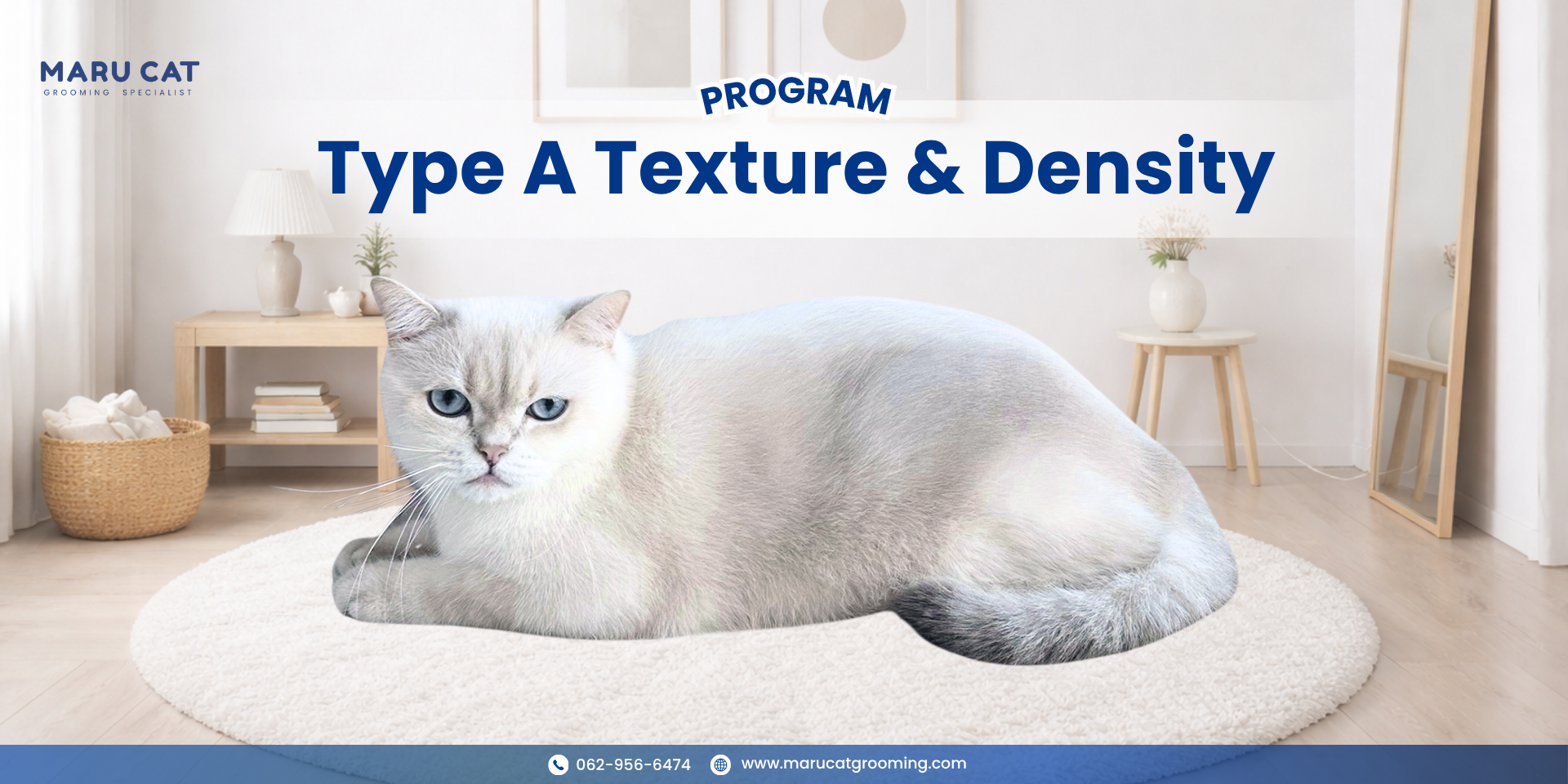 Maru Cat Grooming รีวิวอาบน้ำแมว