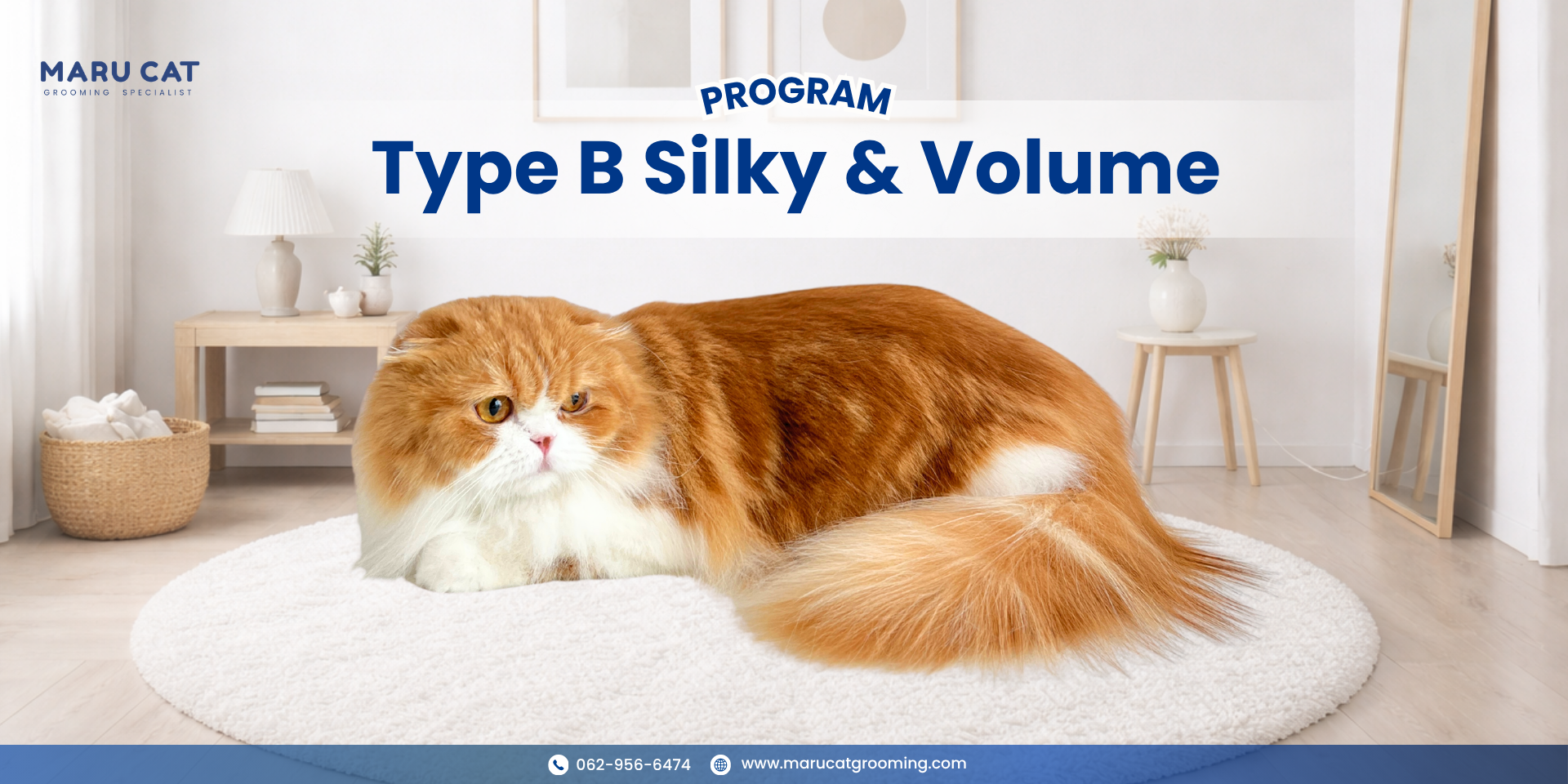 Maru Cat Grooming รีวิวอาบน้ำแมว