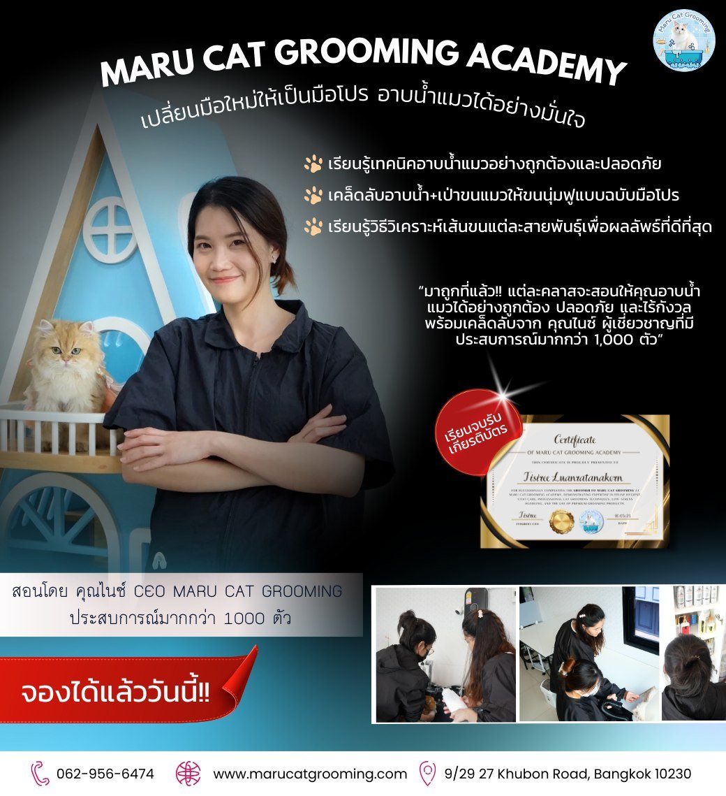 เรียนอาบน้ำแมว