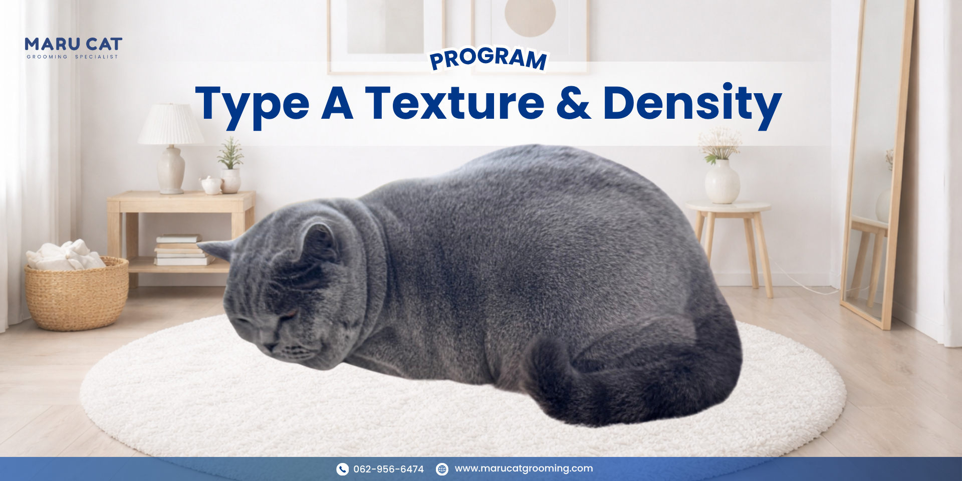 Maru Cat Grooming รีวิวอาบน้ำแมว