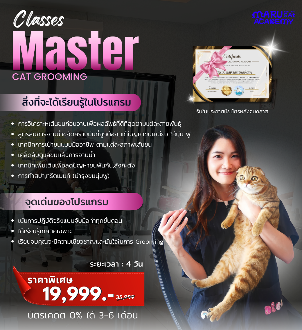 เรียนอาบน้ำแมว