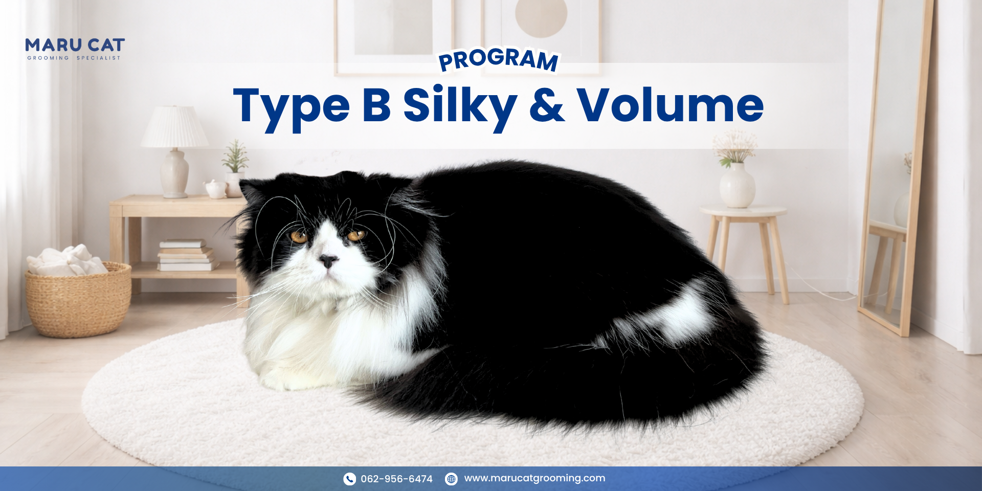 Maru Cat Grooming รีวิวอาบน้ำแมว