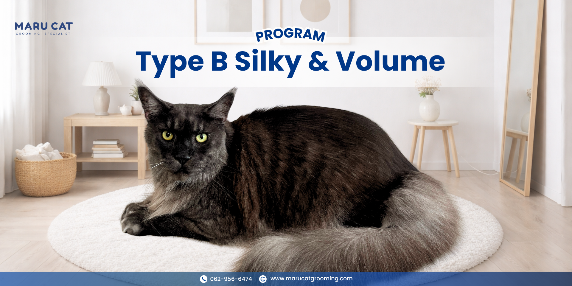 Maru Cat Grooming รีวิวอาบน้ำแมว