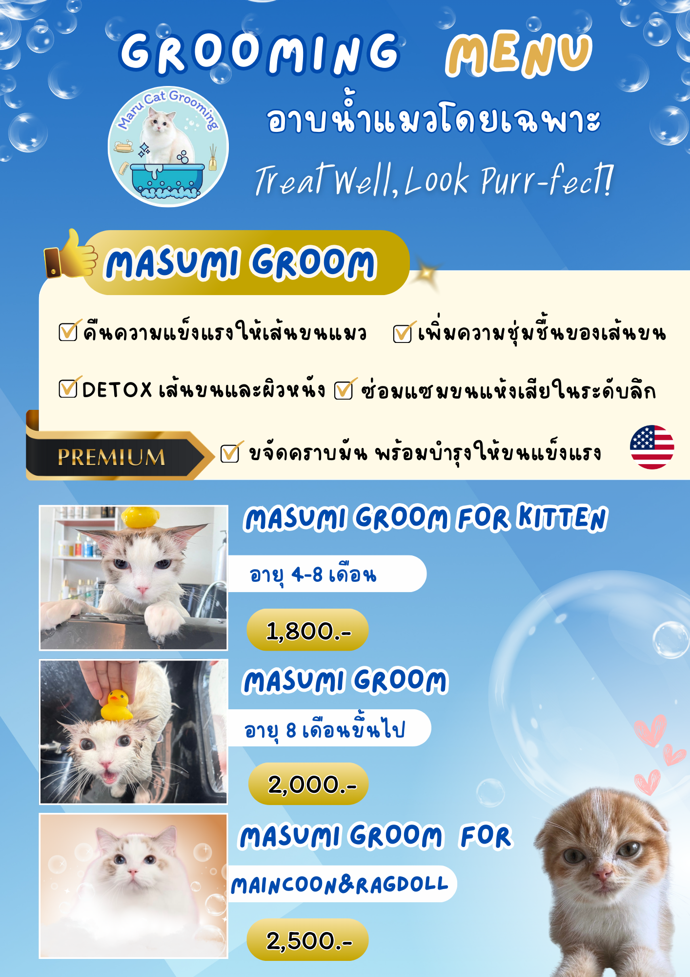 MASUMI GROOM โปรแกรมอาบน้ำร้าน Maru Cat Grooming