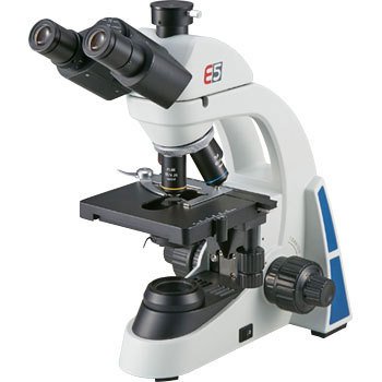 Microscope E5 (XENON)