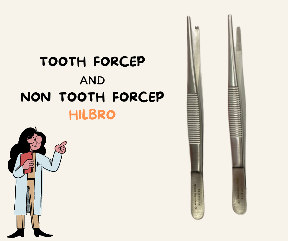 Tooth forcep ปากคีบสแตนเลส ยี่ห้อ HILBRO