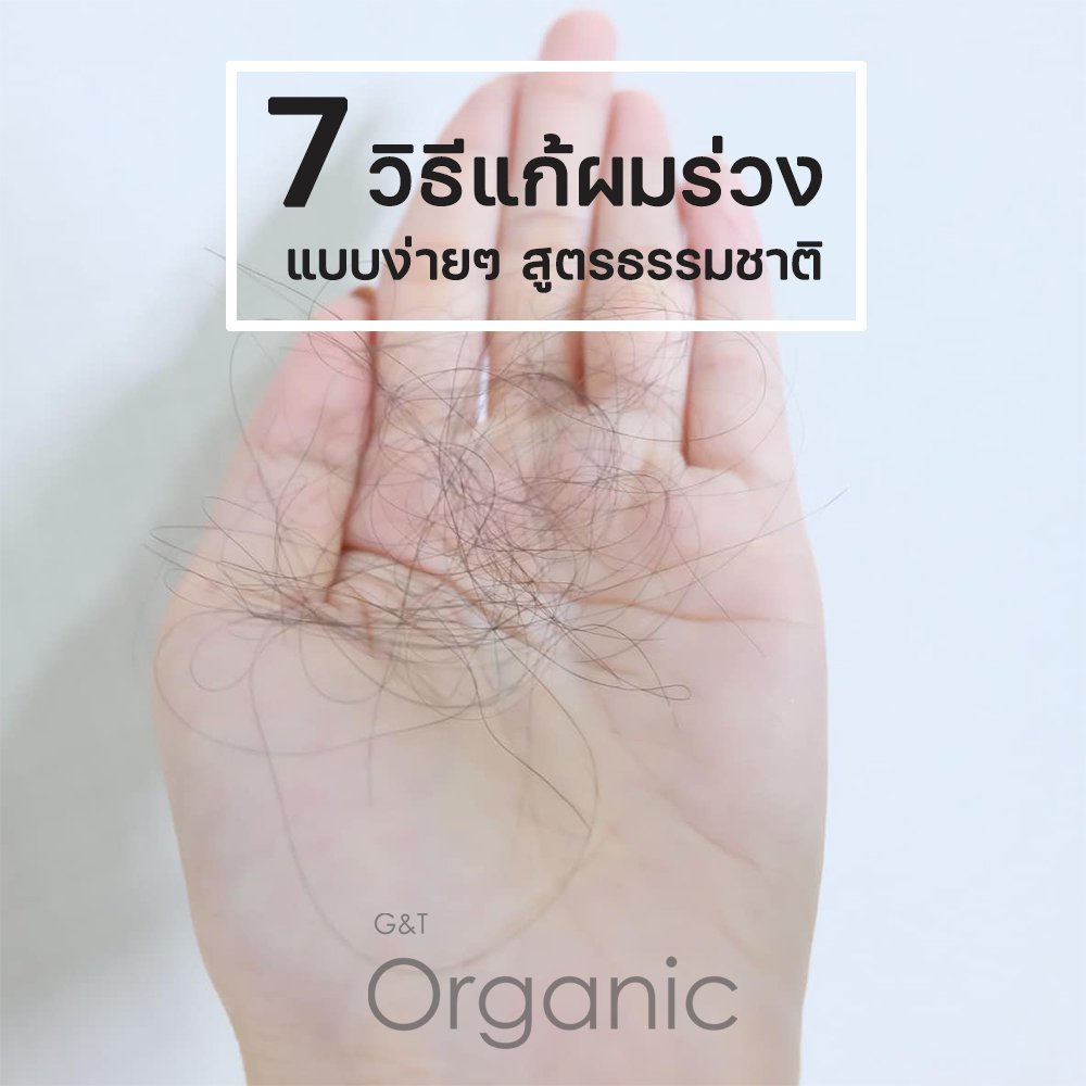 7 วิธีแก้ผมร่วง แบบง่ายๆ สูตรธรรมชาติ - Gt-Hairorganic