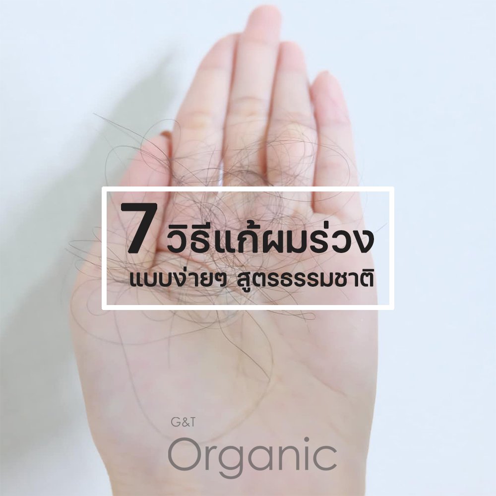 7 วิธีแก้ผมร่วง แบบง่ายๆ สูตรธรรมชาติ - Gt-Hairorganic