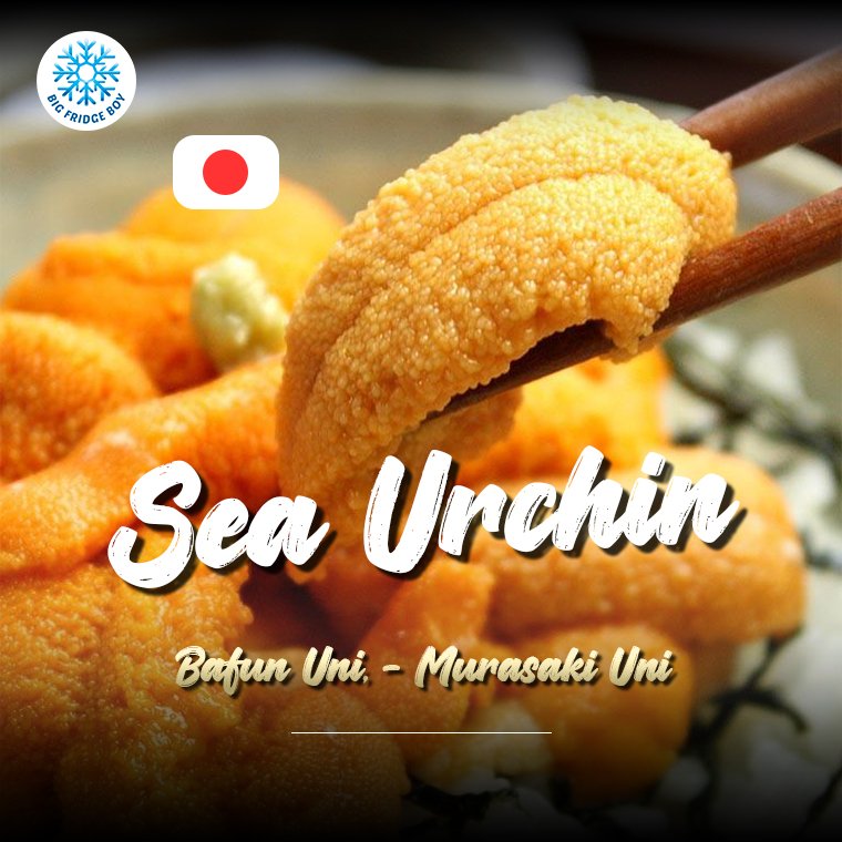 ไข่หอยเม่น อูนิ Sea Urchin Uni