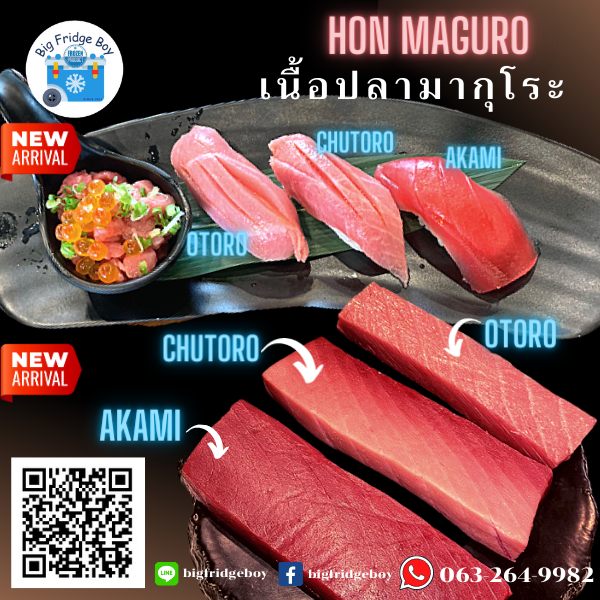 What is Bluefin Tuna “Hon-Maguro” ? - bigfridgeboy