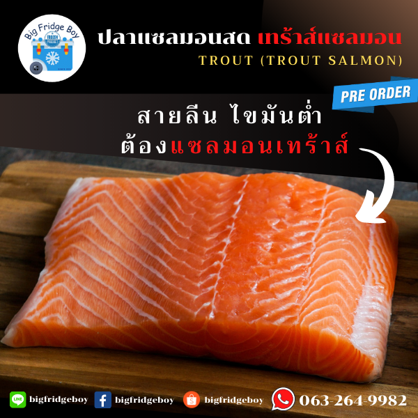サーモン Fresh Salmon (4-5 kg.)