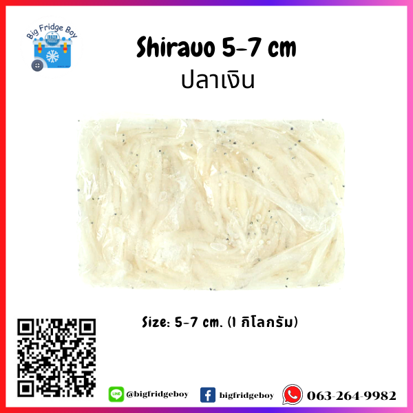 白魚 Shirauo (5-7cm.) (1 kg.)