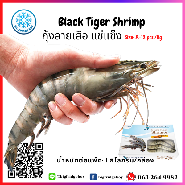 กุ้งลายเสือทั้งตัว 8-12 PCS/PACK NW 80% Black Tiger Shrimp