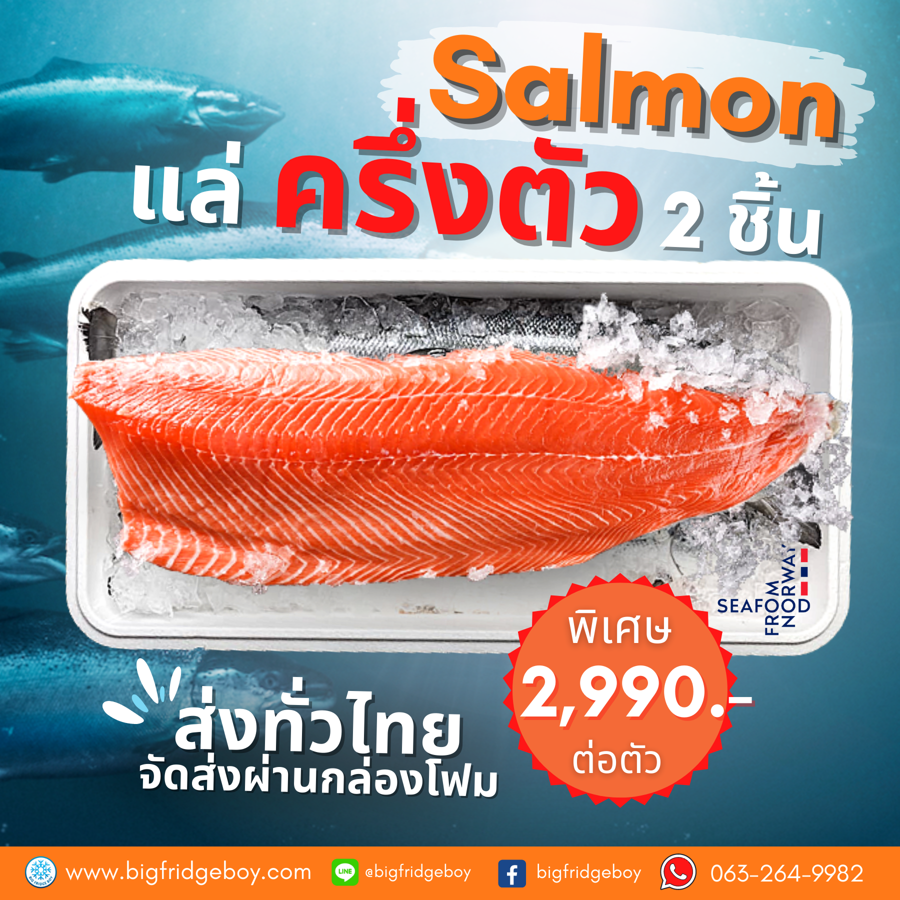 ปลาแซลมอนนอร์เวย์ สดๆ สั่งแบบแล่ครึ่งตัว (Fresh Salmon Fillet)
