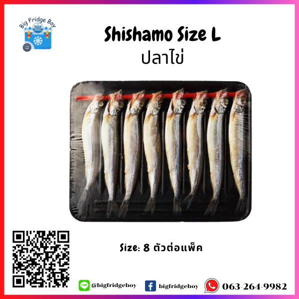 Shishamo (20-24 g./pc.) (8 pcs./tray)