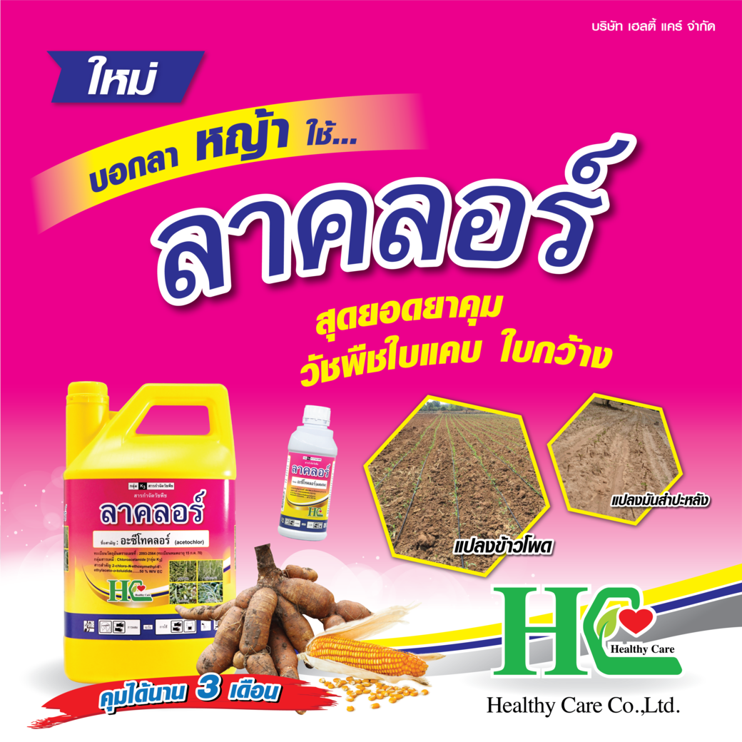 ลาคลอร์สุดยอดยาคุมวัชพืชในแปลงข้าวโพดและมันสำปะหลัง