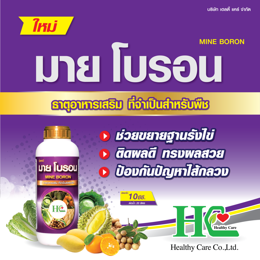 มายโบรอน โบรอนเต็มเปอร์เซ็นต์ ป้องกันไส้กลวง เพิ่มน้ำหนัก