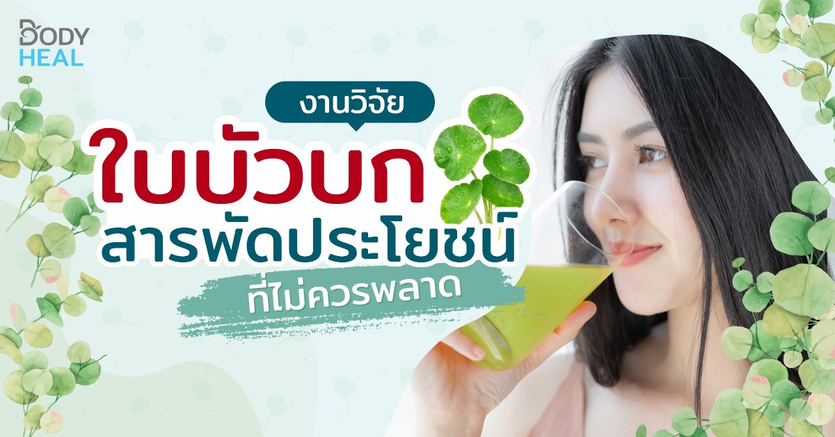  งานวิจัยใบบัวบก สารพัดประโยชน์ที่ไม่ควรพลาด