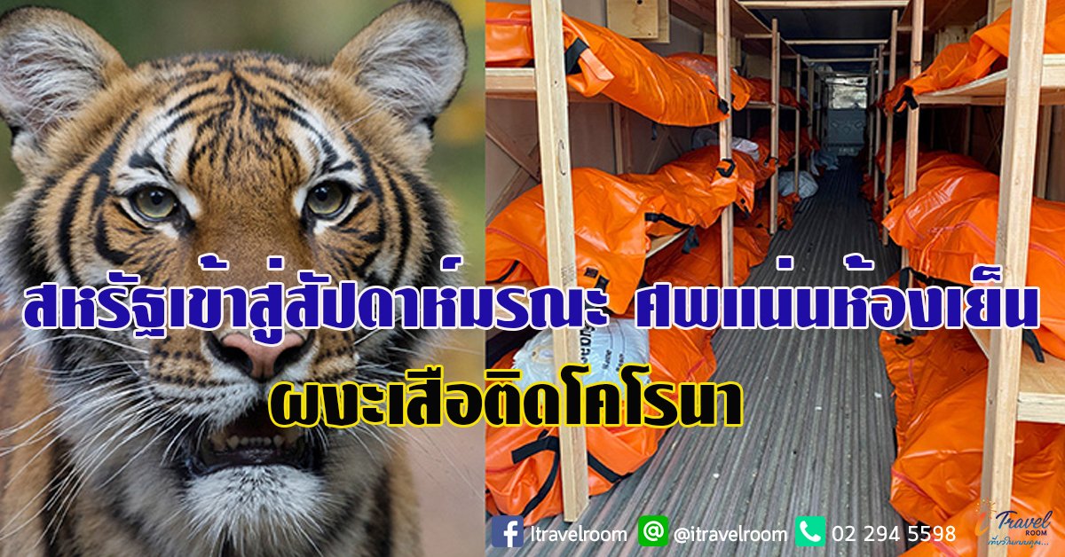 สหรัฐเข้าสู่สัปดาห์มรณะ ศพแน่นห้องเย็น ผงะเสือติดโคโรนา สหรัฐเข้าสู่สัปดาห์มรณะ ศพแน่นห้องเย็น ผงะเสือติดโคโรนา