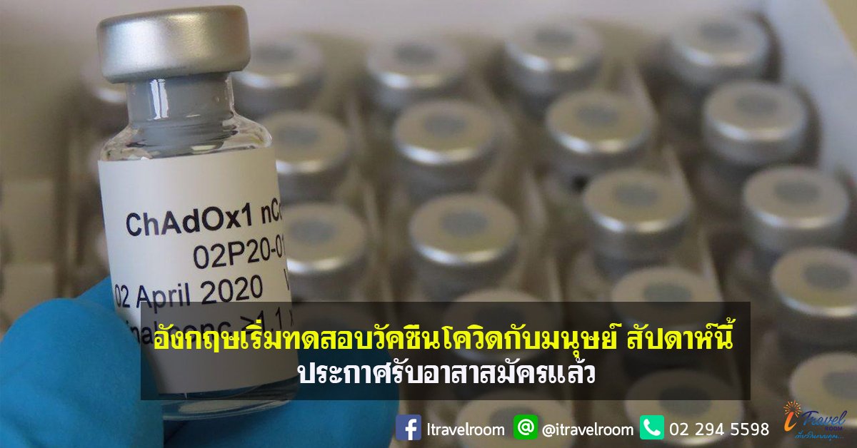 อังกฤษเริ่มทดสอบวัคซีนโควิดกับมนุษย์ สัปดาห์นี้ ประกาศรับอาสาสมัครแล้ว อังกฤษเริ่มทดสอบวัคซีนโควิดกับมนุษย์ สัปดาห์นี้ ประกาศรับอาสาสมัครแล้ว