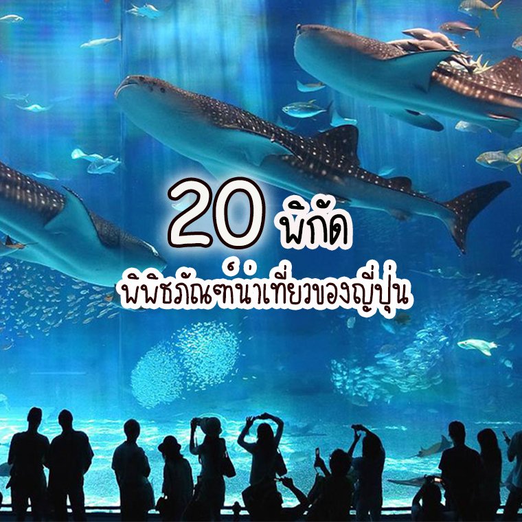 20 พิกัด พิพิธภัณฑ์น่าเที่ยวของญี่ปุ่นที่ห้ามพลาด! 20 พิกัด พิพิธภัณฑ์น่าเที่ยวของญี่ปุ่นที่ห้ามพลาด!