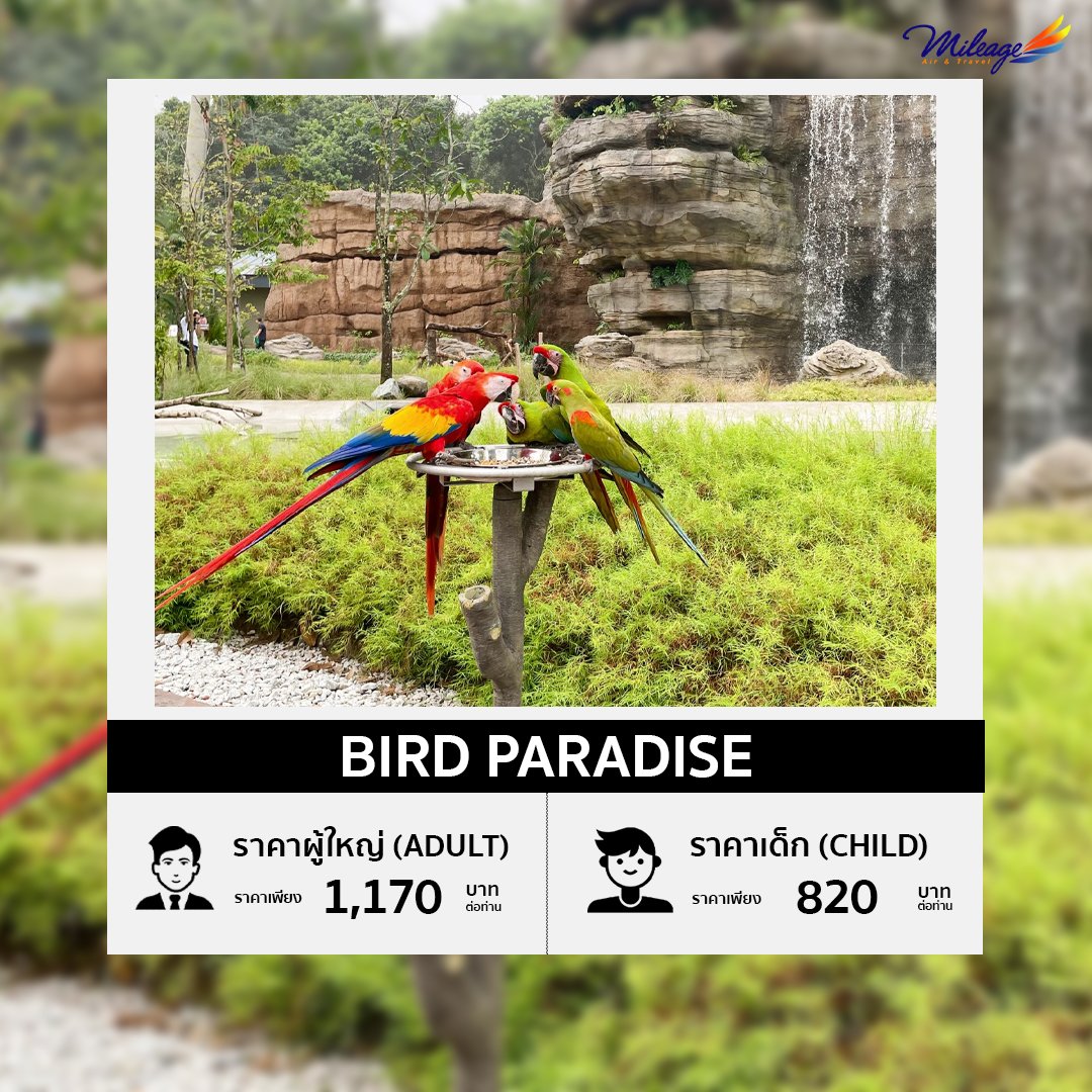 บัตรเข้าชมสวนนก (ฺBird Paradise)