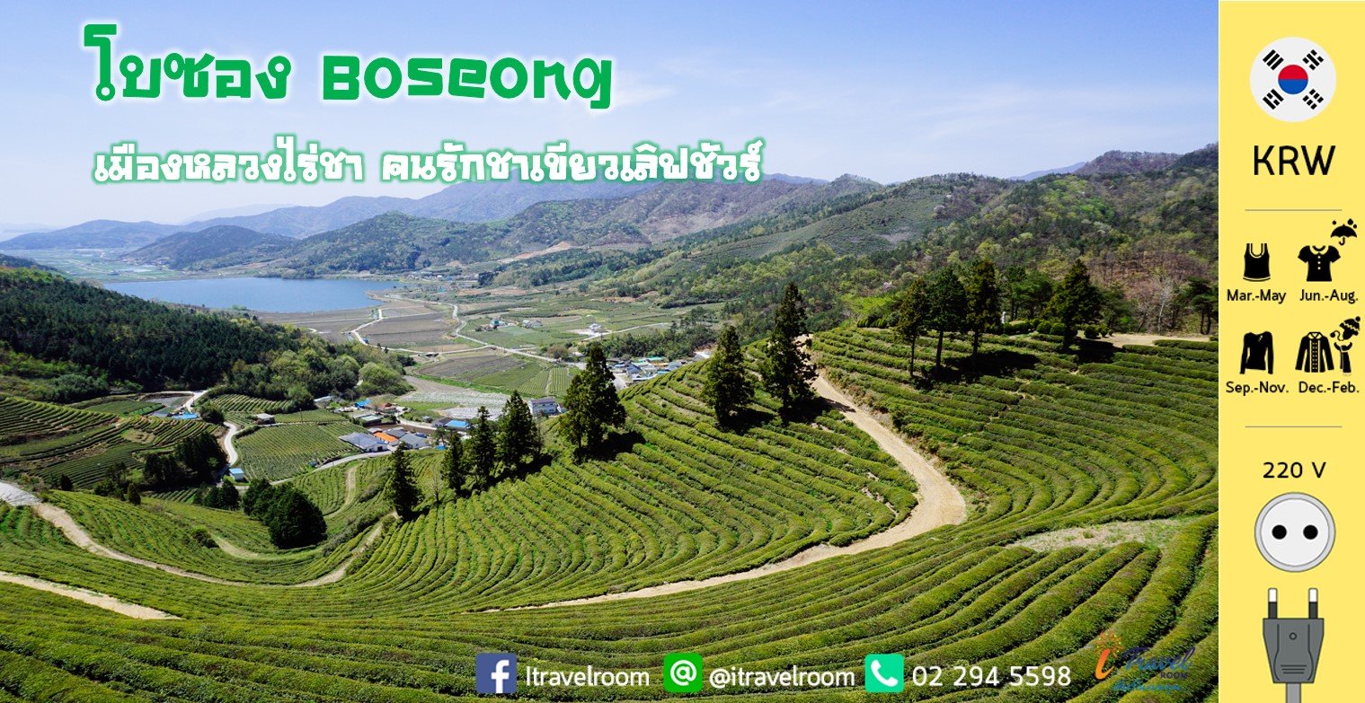 เกาหลี เกาหลี