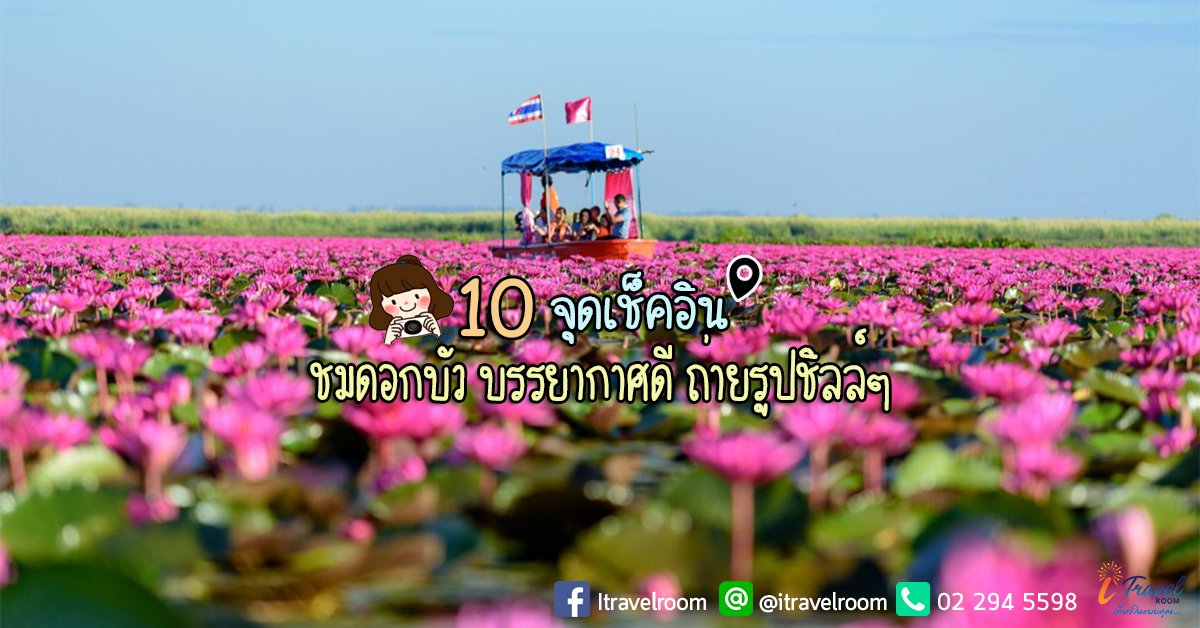 10 จุดเช็คอินชมดอกบัว บรรยากาศดี ถ่ายรูปชิลล์ๆ 10 จุดเช็คอินชมดอกบัว บรรยากาศดี ถ่ายรูปชิลล์ๆ