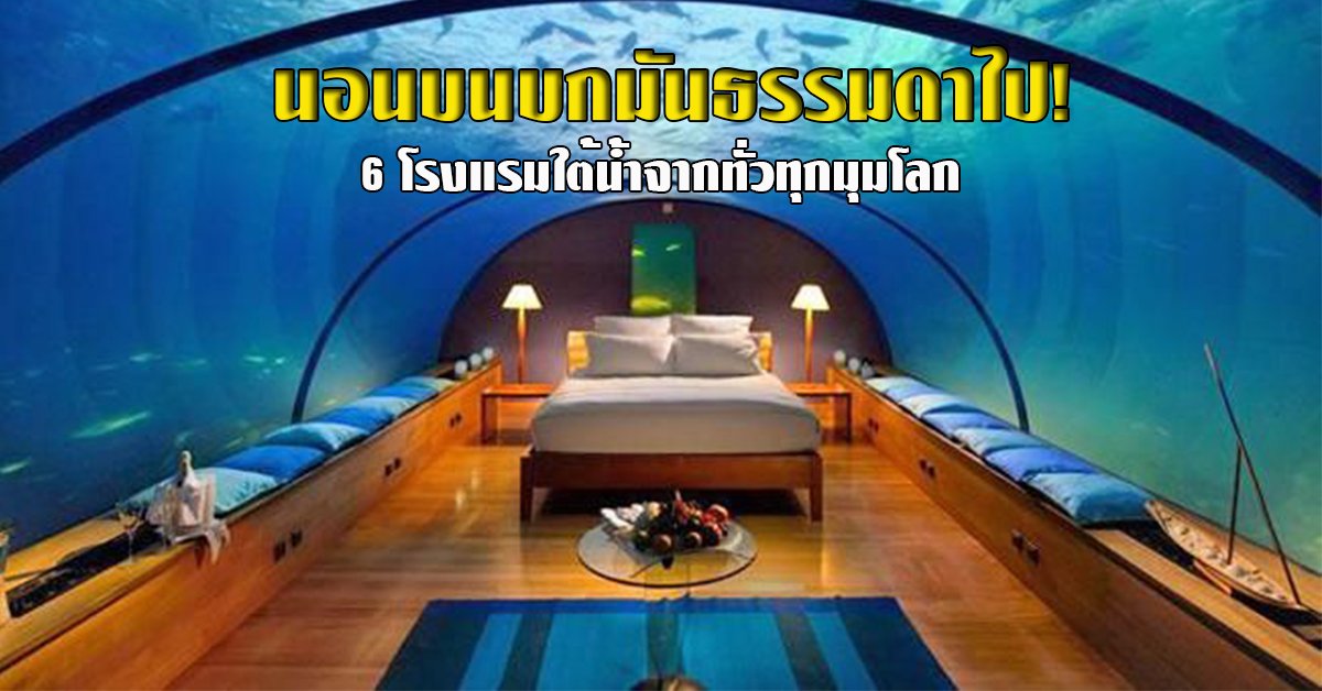6 โรงแรมใต้น้ำ จากทั่วทุกมุมโลก นอนไปมองฝูงปลาไปฟินๆ