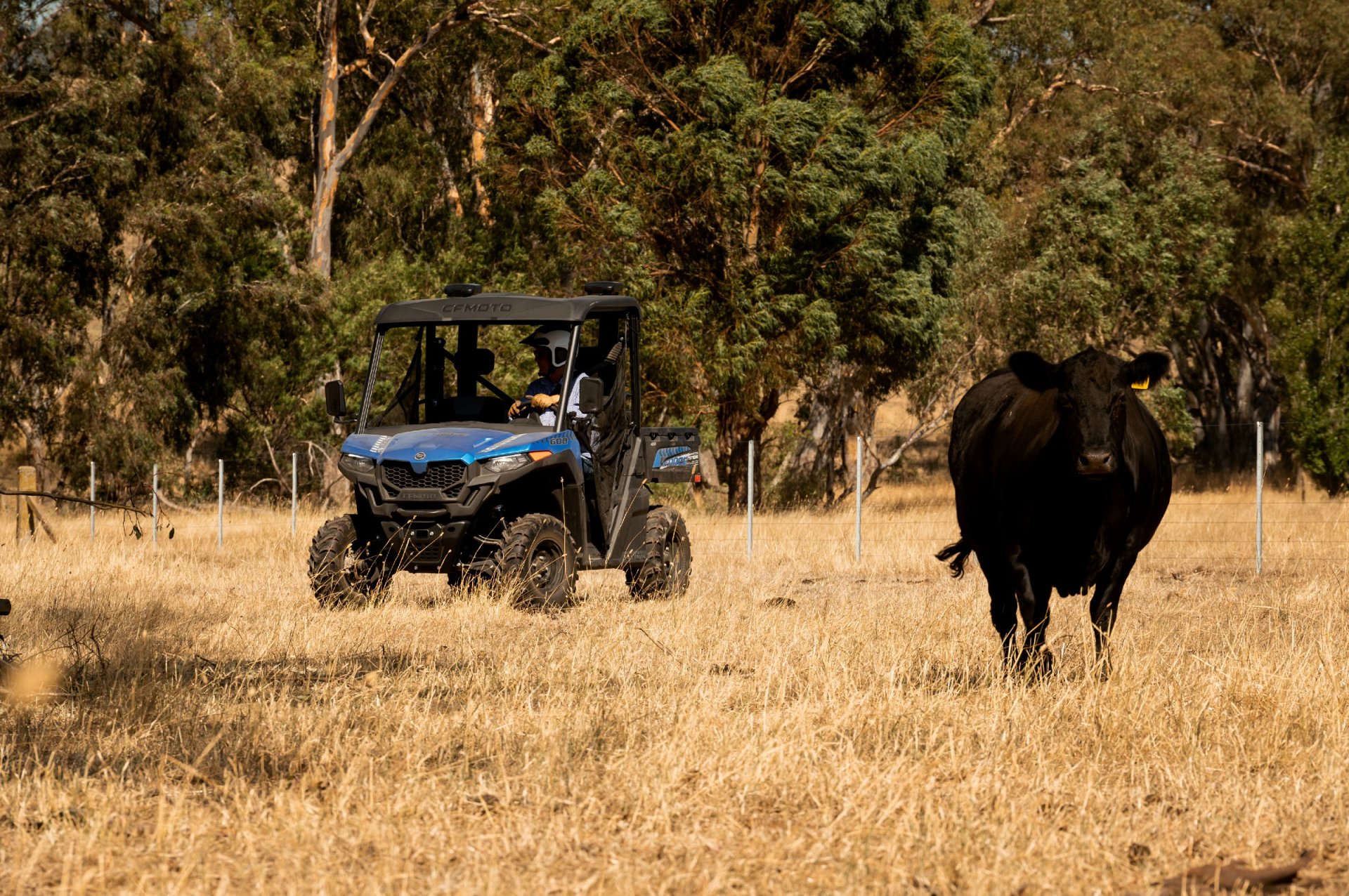 UTV Uforce600 U600