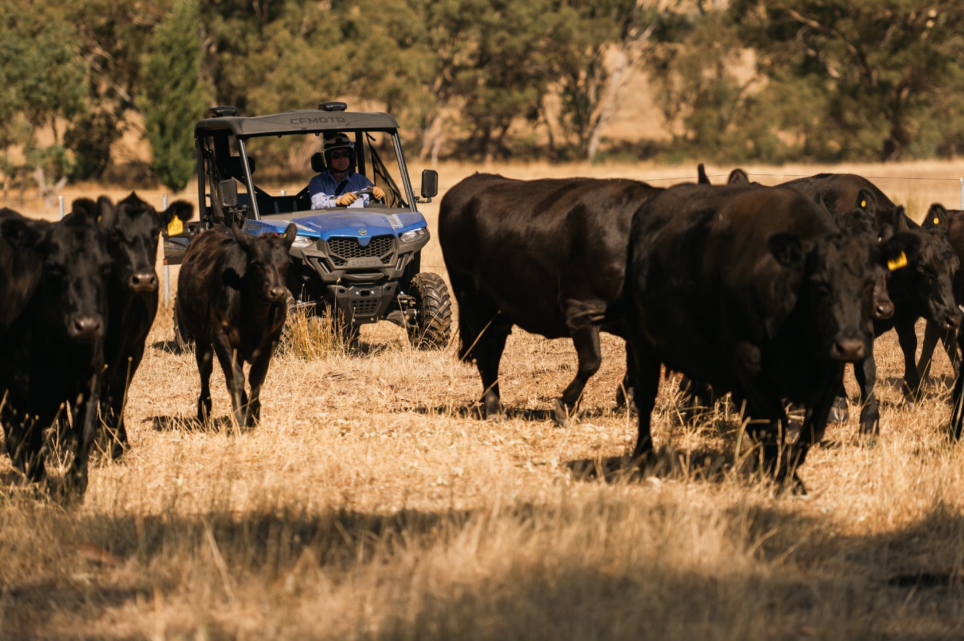 UTV Uforce600 U600