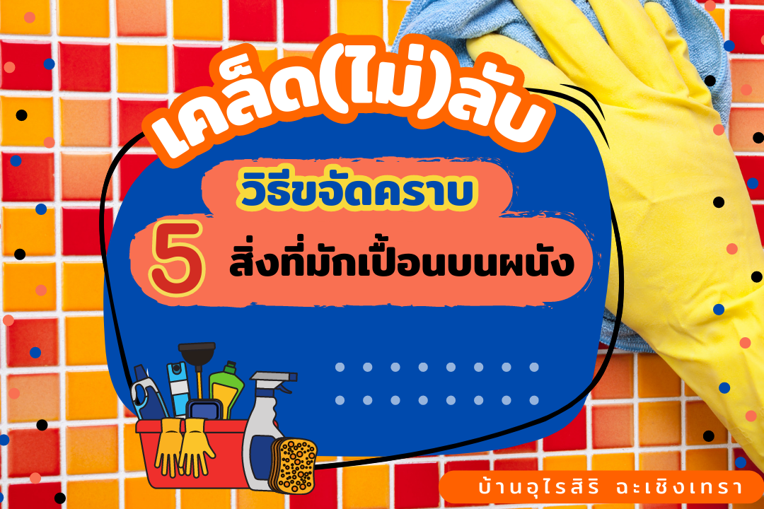 เคล็ด(ไม่)ลับ วิธีขจัดคราบ กับ 5 สิ่งที่มักเปื้อนบนผนัง
