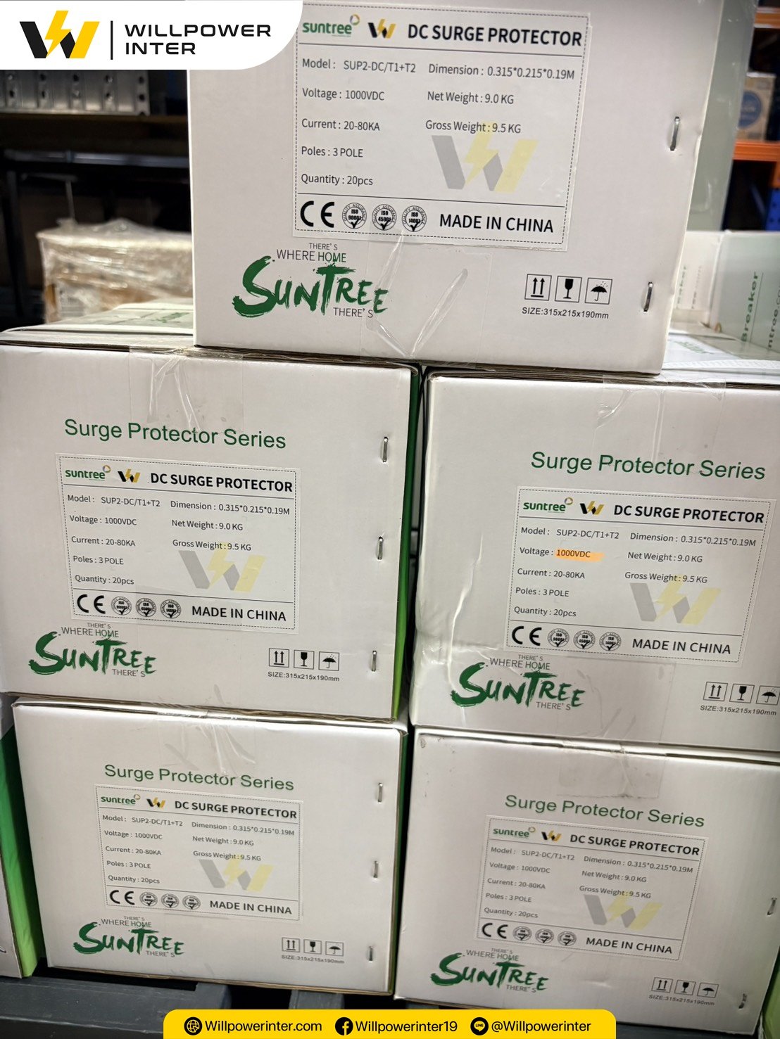 Willpower inter | วิลพาวเวอร์ อินเตอร์ 