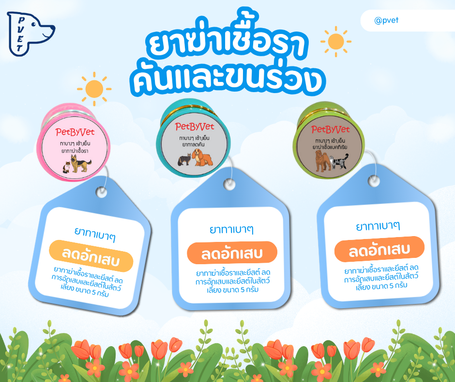 ยาทาฆ่าเชื้อราและยีสต์  ยาทาฆ่าเชื้อราและยีสต์