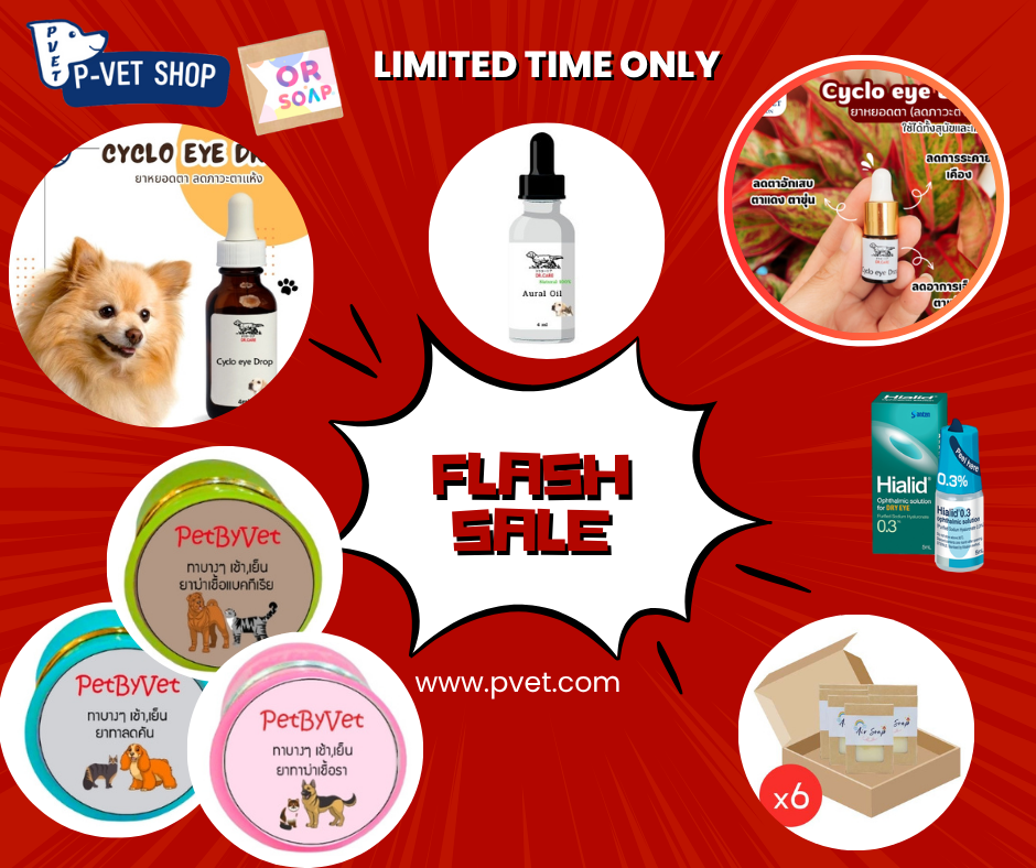 flash sale 2ชิ้นขึ้นไปส่งฟรี