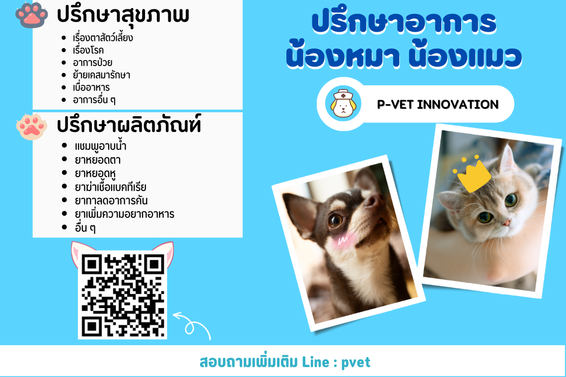 ปรึกษาอาการ น้องหมา น้องแมว ฟรี ปรึกษาอาการ น้องหมา น้องแมว ฟรี