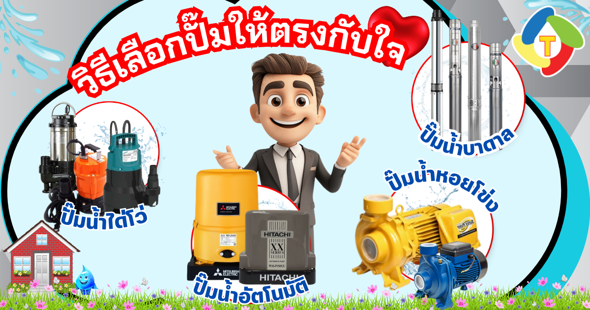 คู่มือเลือกปั๊มที่ใช้เทคโนโลยีสุดล้ำ: วิธีเลือกปั๊มน้ำให้ตรงใจ คู่มือเลือกปั๊มที่ใช้เทคโนโลยีสุดล้ำ: วิธีเลือกปั๊มน้ำให้ตรงใจ