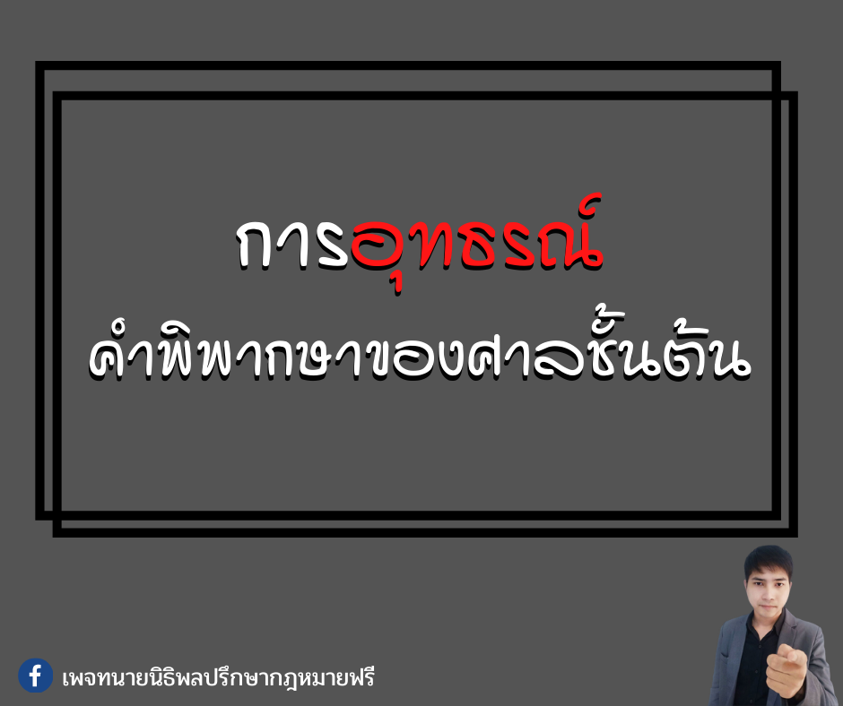 การอุทธรณ์คำพิพากษาของศาลชั้นต้น -ทนายนิธิพล