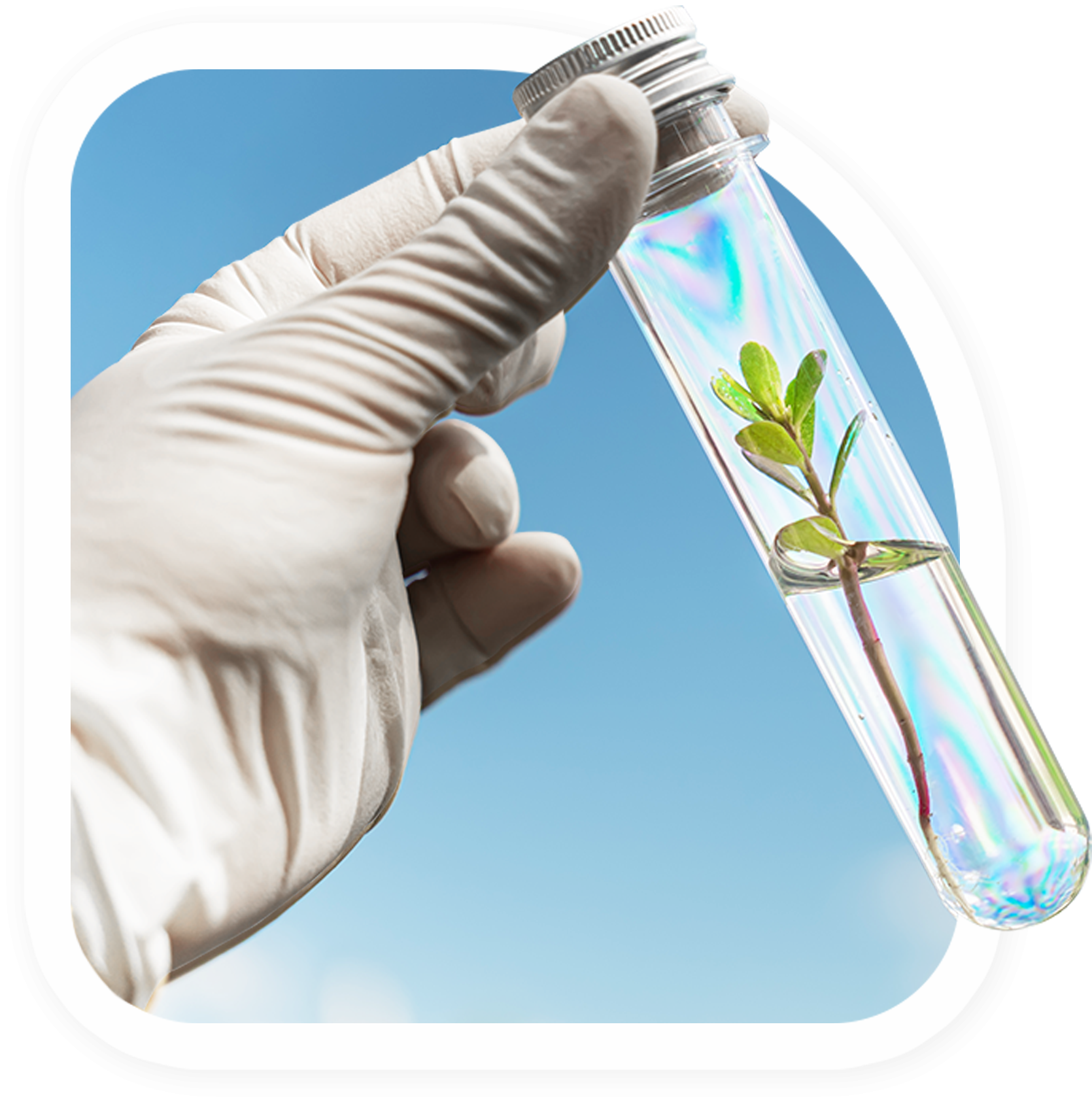 ซีหลง ไซเอินทิฟฟิค (Xilong Scientific)