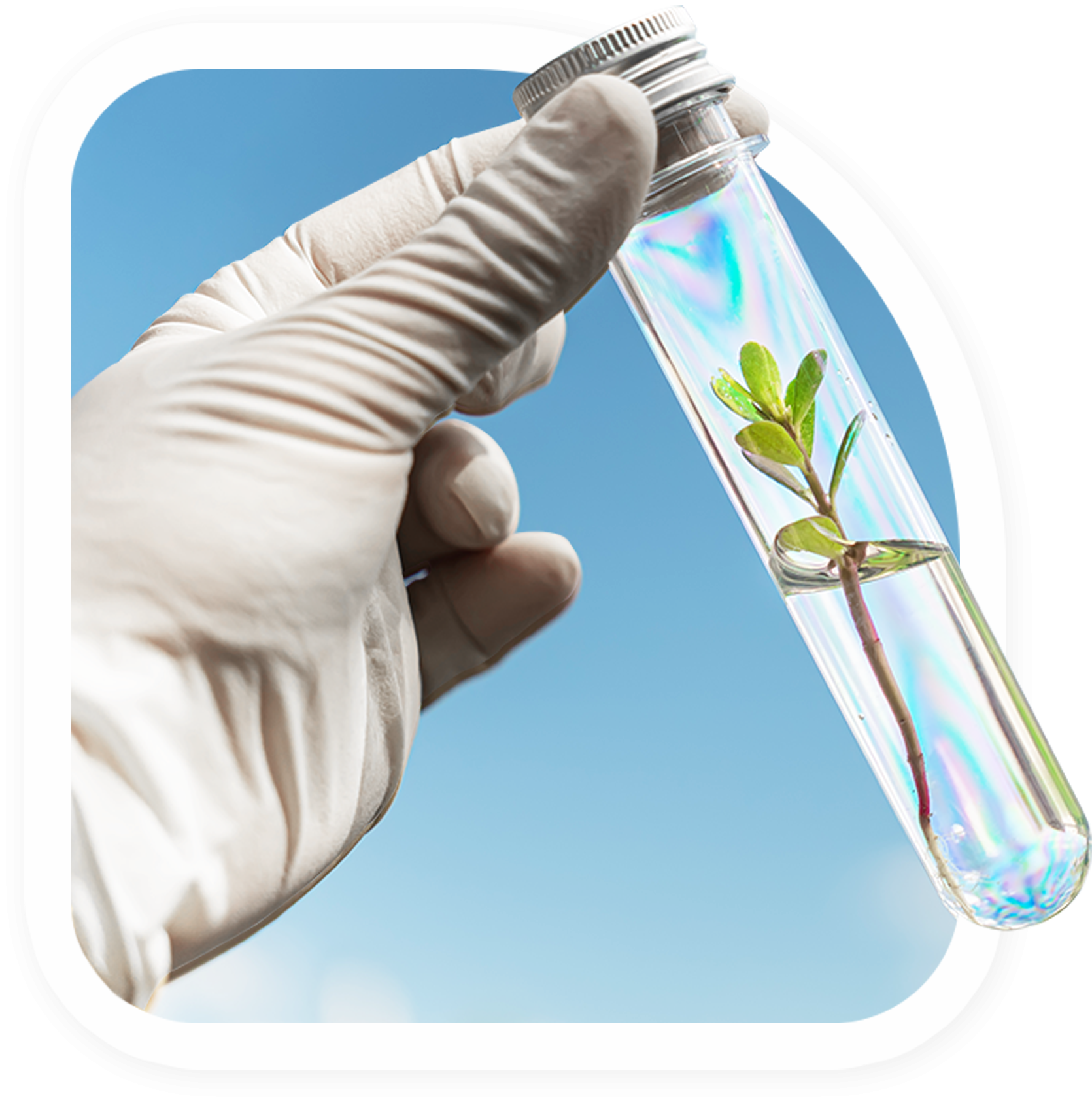 ซีหลง ไซเอินทิฟฟิค (Xilong Scientific) ซีหลง ไซเอินทิฟฟิค (Xilong Scientific)