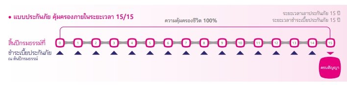 ประกันชีวิตเบี้ยถูก ประกันชีวิตเบี้ยถูก