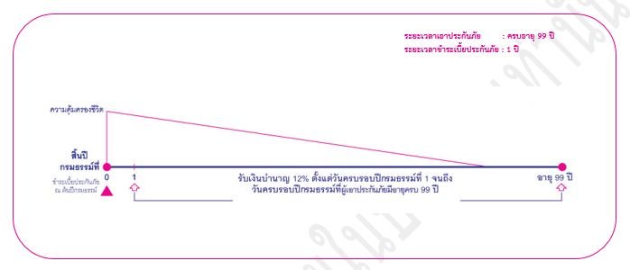 ประกันบำนาญ ประกันบำนาญ