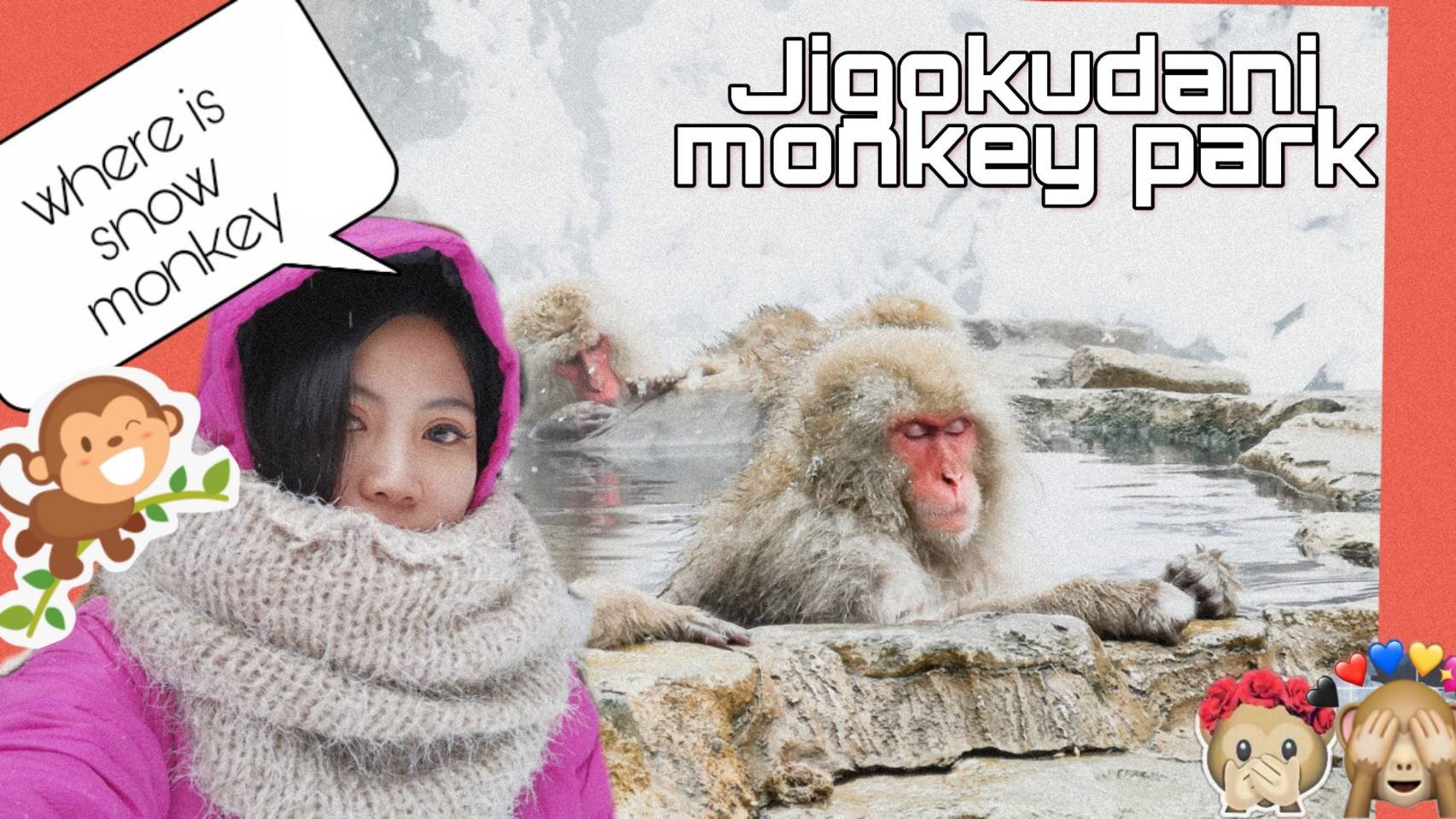 ไปดูลิงหิมะที่ snow money park ในญี่ปุ่น 